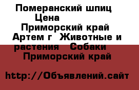 Померанский шпиц › Цена ­ 15 000 - Приморский край, Артем г. Животные и растения » Собаки   . Приморский край